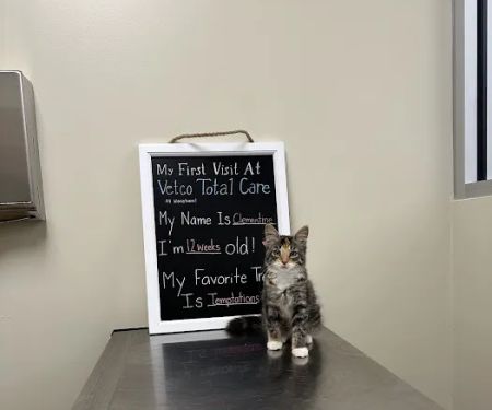 Vetco Total Care Animal Hospital
