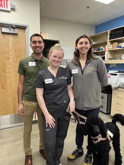 Vetco Total Care Animal Hospital Picture 4