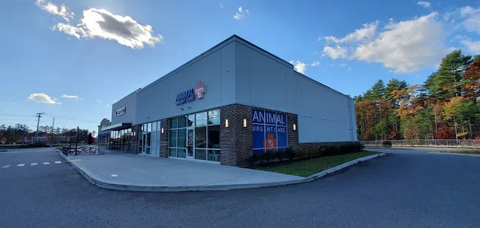 Wareham Animal Hospital Picture 10