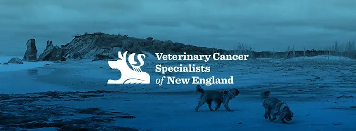 Veterinary Cancer Specialists of New England Picture 8