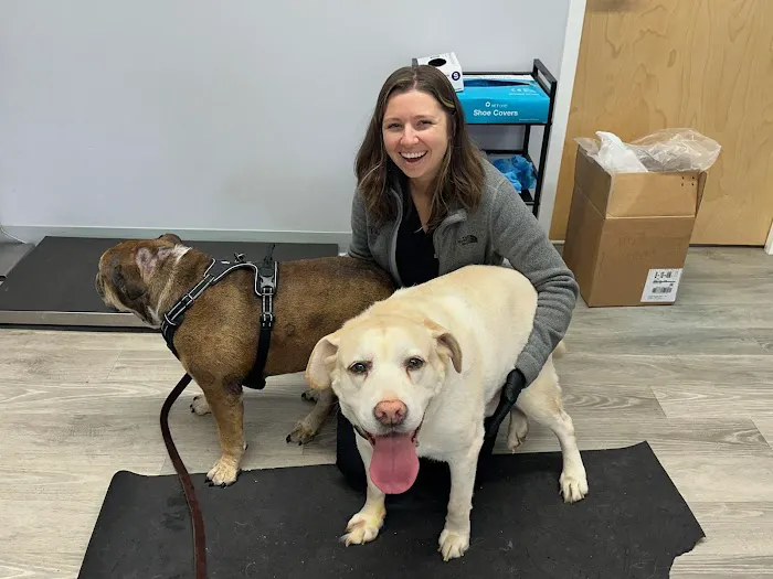 Veterinary Cancer Specialists of New England Picture 10