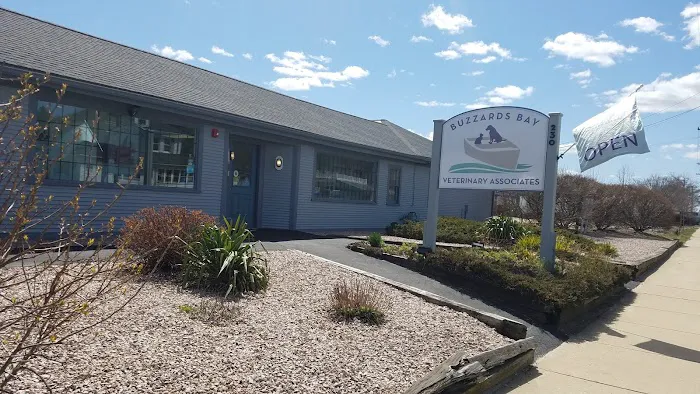 Buzzards Bay Veterinary Associates Picture 10