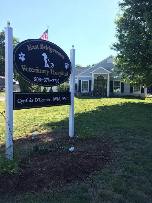 East Bridgewater Veterinary Picture 3