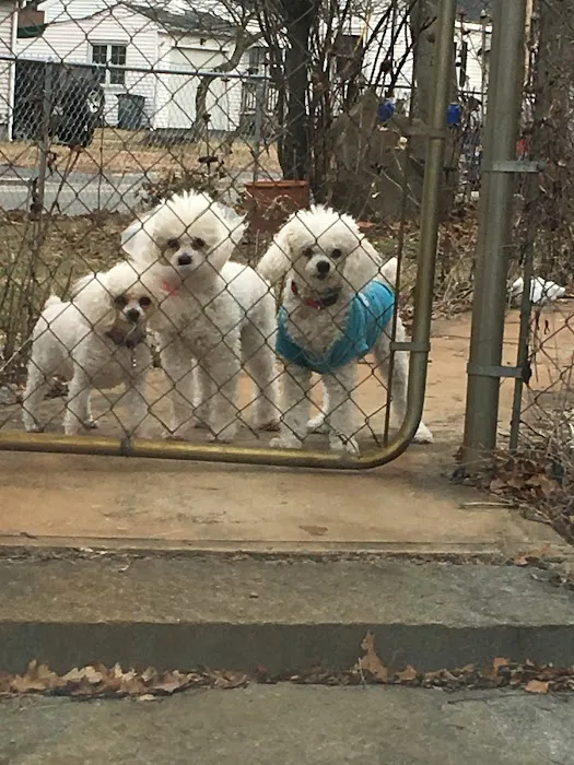 East Bridgewater Veterinary Picture 5