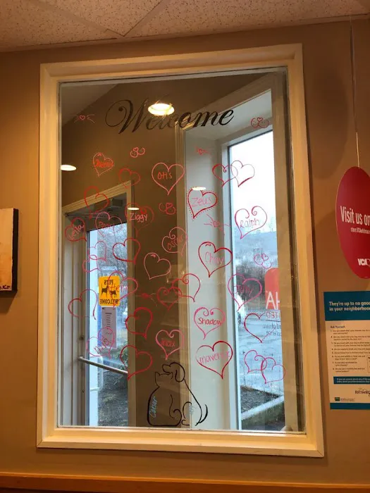 VCA Whitman Animal Hospital Picture 7