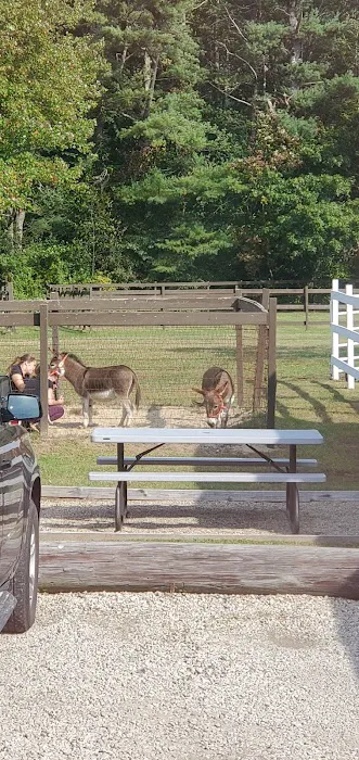 South Shore Equine Clinic & Diagnostic Center Picture 6