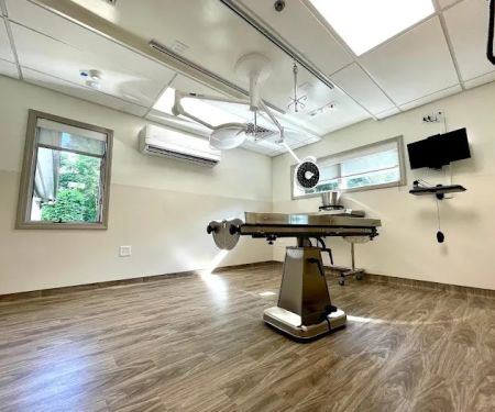 VCA Hanson Animal Hospital