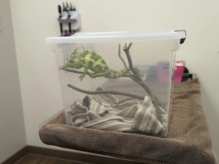 VCA Hanson Animal Hospital Picture 3