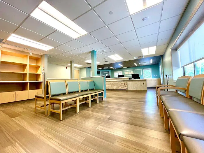 VCA Hanson Animal Hospital Picture 4