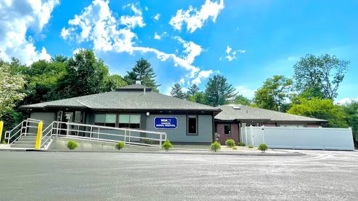 VCA Hanson Animal Hospital Picture 9