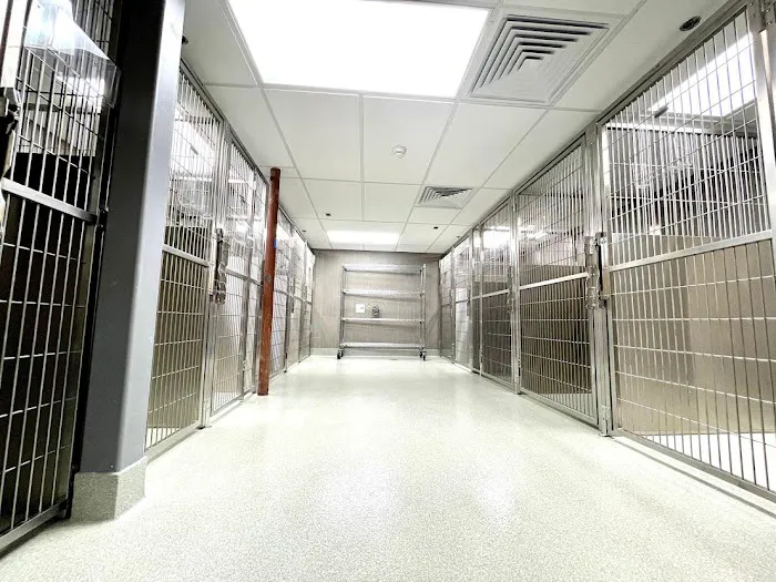 VCA Hanson Animal Hospital Picture 7