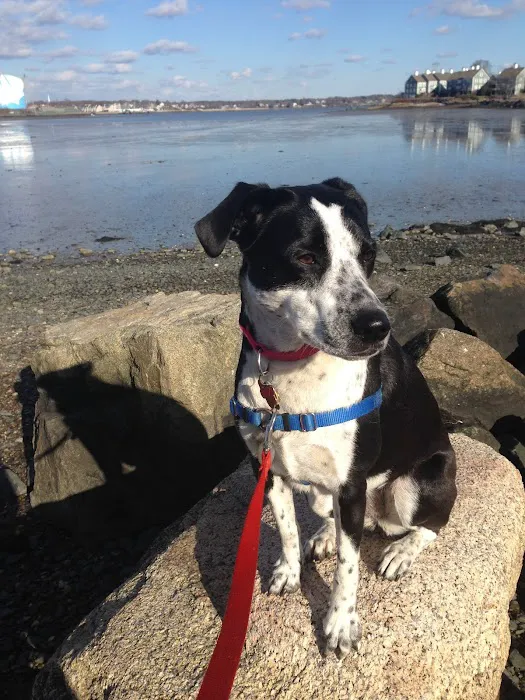 www.PetBehaviorProblems.com Picture 1