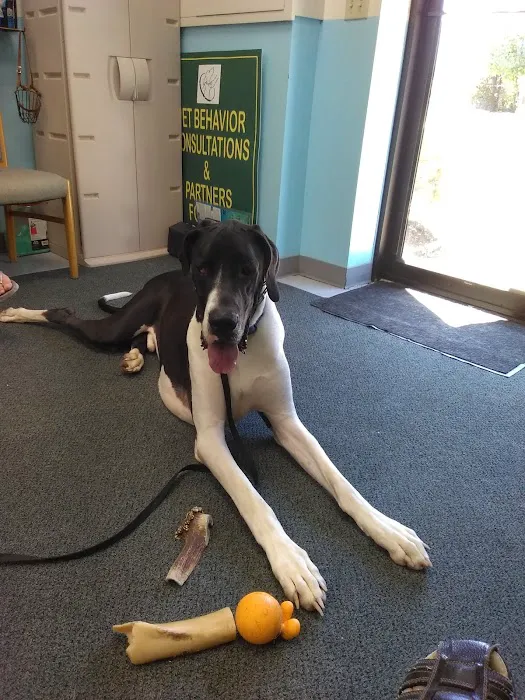 www.PetBehaviorProblems.com Picture 3