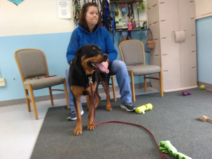 www.PetBehaviorProblems.com Picture 4