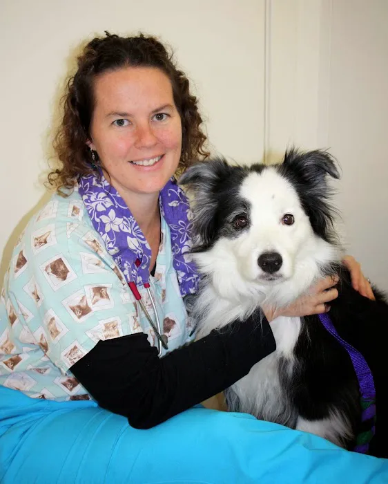 Burlington Animal Clinic Picture 10