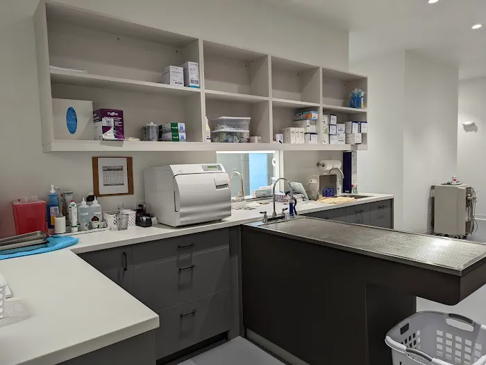 Cambridge Street Animal Hospital Picture 1