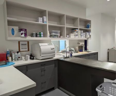 Cambridge Street Animal Hospital