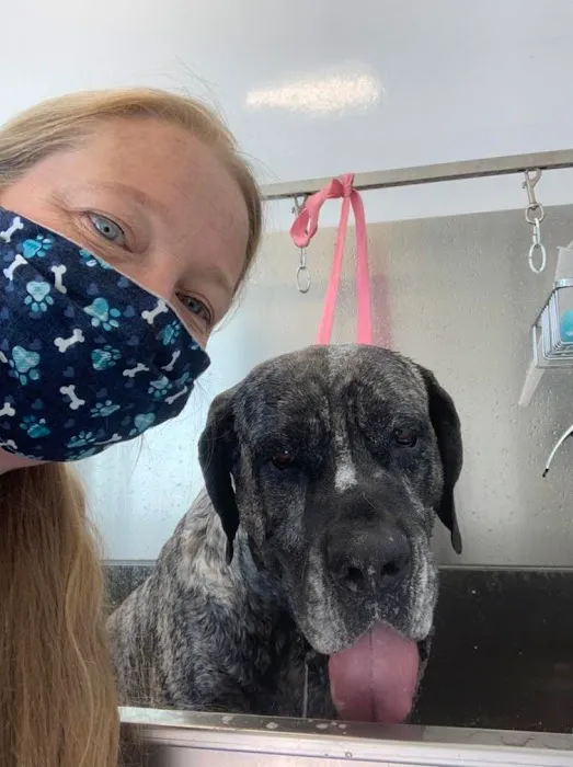 Cambridge Street Animal Hospital Picture 4