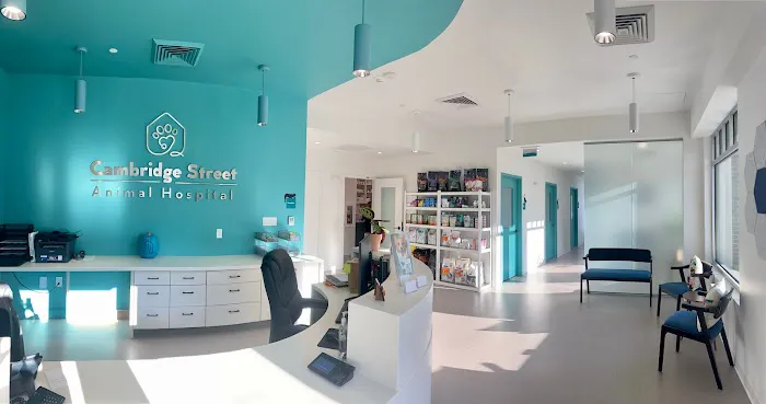 Cambridge Street Animal Hospital Picture 3