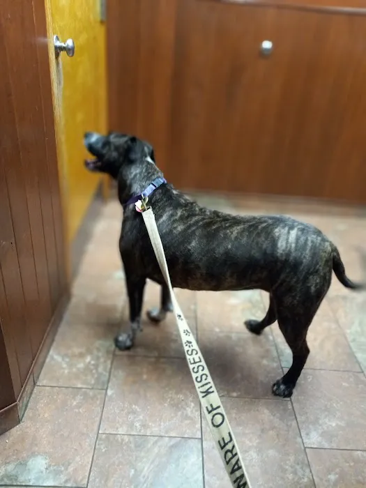 Woburn Animal Hospital Picture 1
