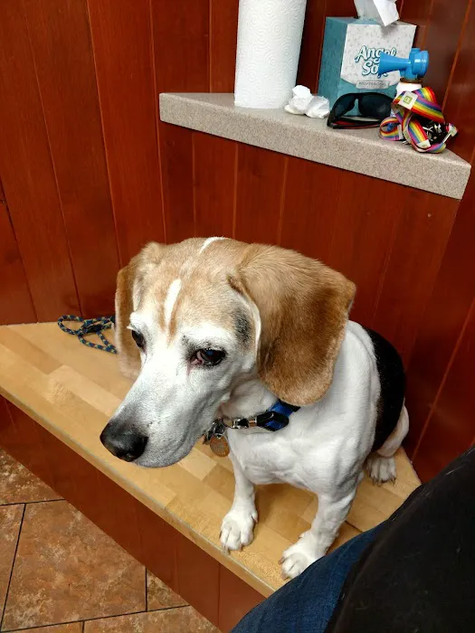 Woburn Animal Hospital Picture 2