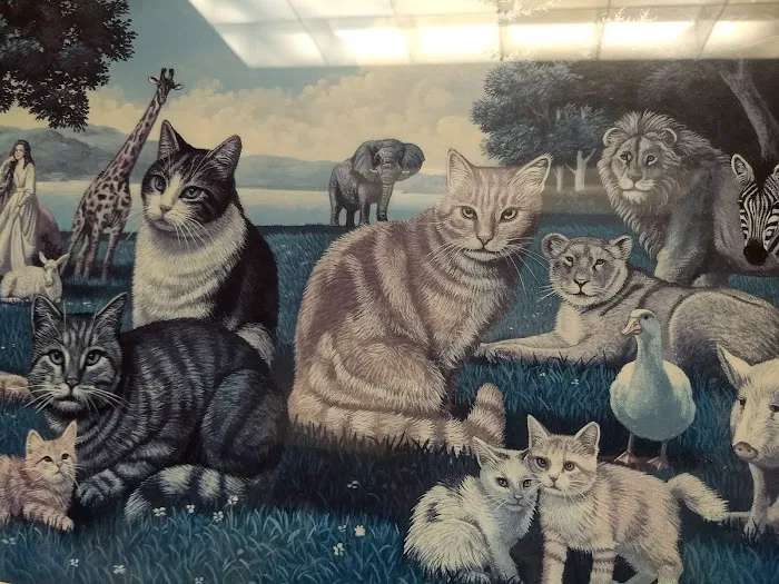 Woburn Animal Hospital Picture 8