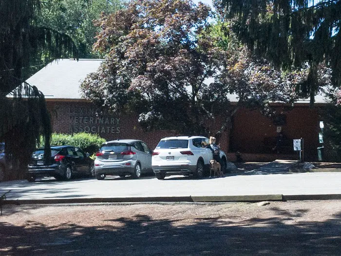 Lexington Veterinary Associates Picture 5