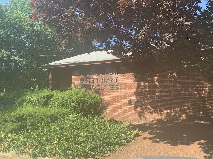 Lexington Veterinary Associates Picture 10