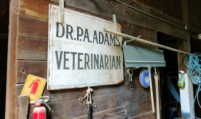 Adams Animal Clinic Picture 1