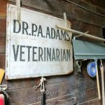 Adams Animal Clinic