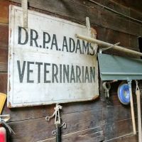 Adams Animal Clinic ico