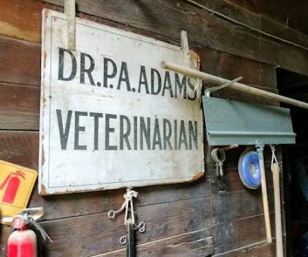 Adams Animal Clinic