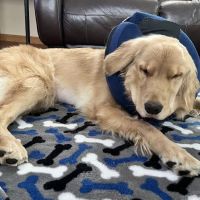 Middlesex County Animal Hospital ico