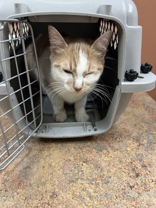 Middlesex County Animal Hospital Picture 6