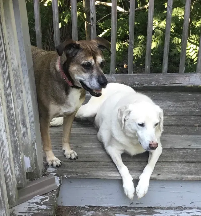 Middlesex County Animal Hospital Picture 7