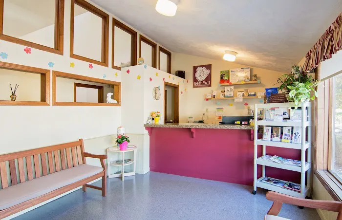 Best Pets Veterinary Hospital Picture 1