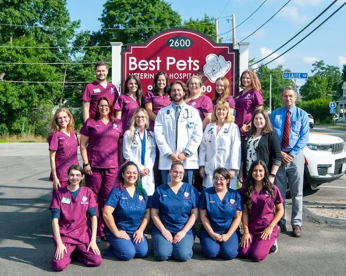 Best Pets Veterinary Hospital Picture 2