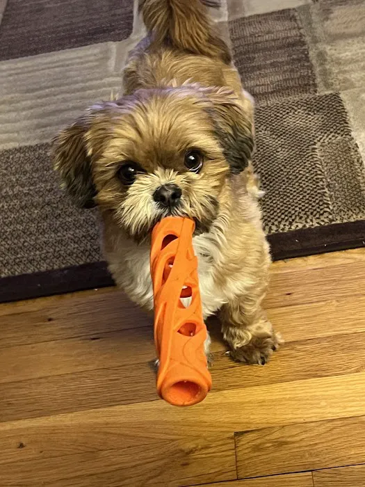 Best Pets Veterinary Hospital Picture 3