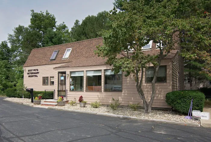 Best Pets Veterinary Hospital Picture 5