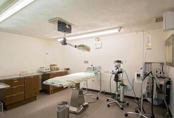 Best Pets Veterinary Hospital Picture 8