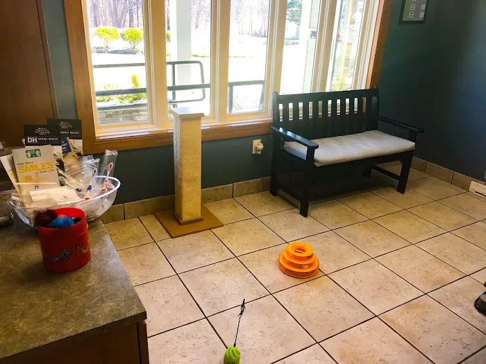 Shawsheen Animal Hospital Picture 4