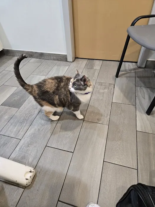 Salem Animal Hospital Picture 2