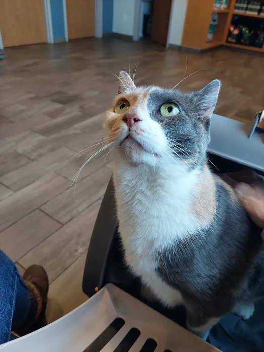 Salem Animal Hospital Picture 1