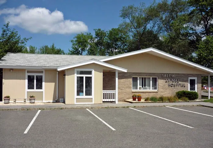 Salem Animal Hospital Picture 10