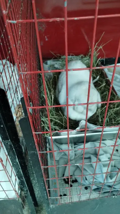Noble Family Animal Care & Adoption Center Picture 1