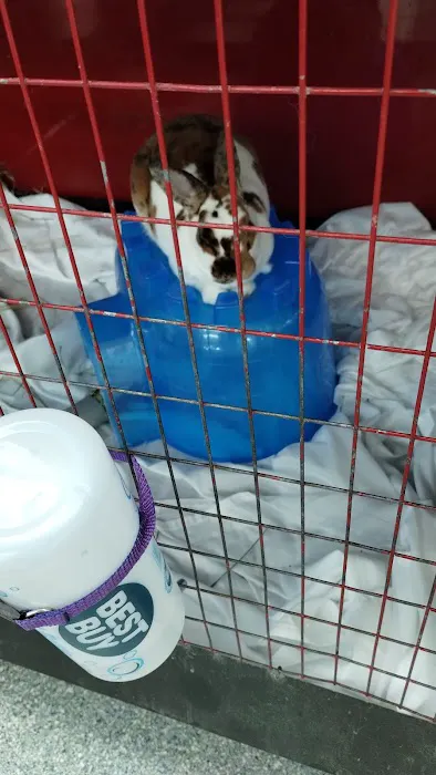 Noble Family Animal Care & Adoption Center Picture 3