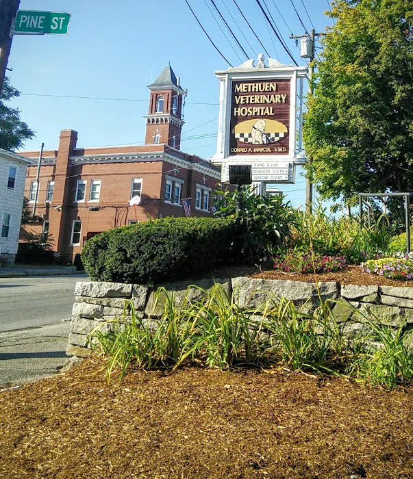 Methuen Veterinary Hospital Picture 3