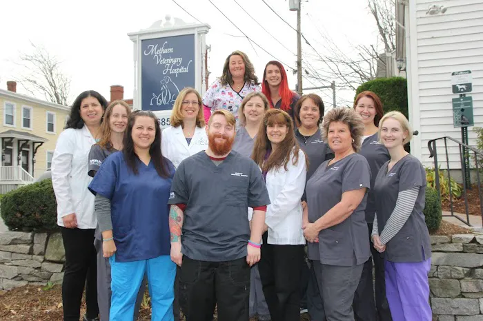 Methuen Veterinary Hospital Picture 6