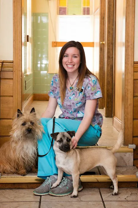 Linwood Animal Hospital Picture 4