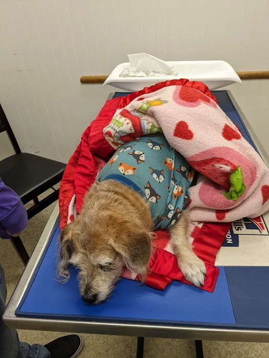 Linwood Animal Hospital Picture 5